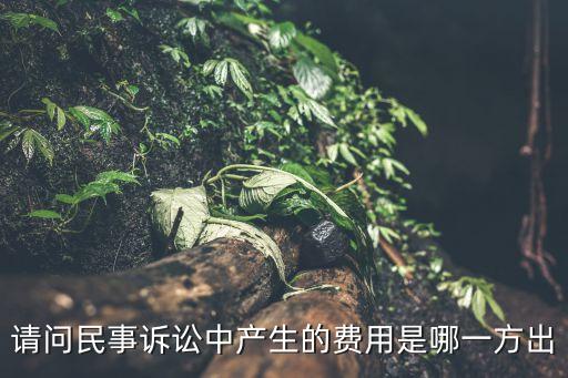 民事訴訟費(fèi)用一般由誰(shuí)承擔(dān)，請(qǐng)問(wèn)民事訴訟中產(chǎn)生的費(fèi)用是哪一方出