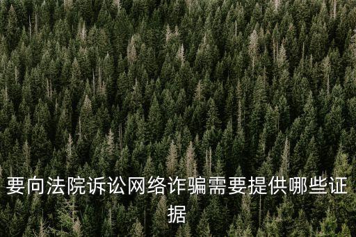 民事欺詐需要什么證據(jù)，起訴被詐騙需要哪些證據(jù)