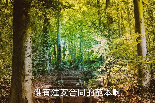 誰(shuí)有建安合同的范本啊