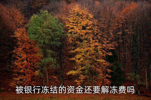 被銀行凍結(jié)的資金還要解凍費(fèi)嗎