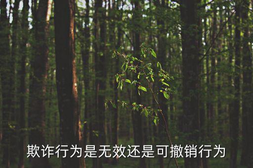 欺詐行為可撤銷，欺詐行為是無(wú)效還是可撤銷行為