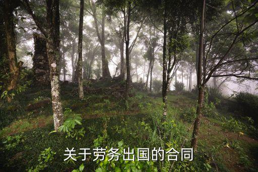 個(gè)人出國(guó)勞務(wù)合同范本大全，出國(guó)勞務(wù)委托代理合同