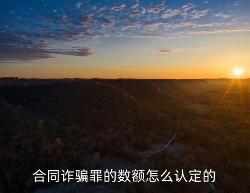 合同詐騙罪的數(shù)額怎么認(rèn)定的