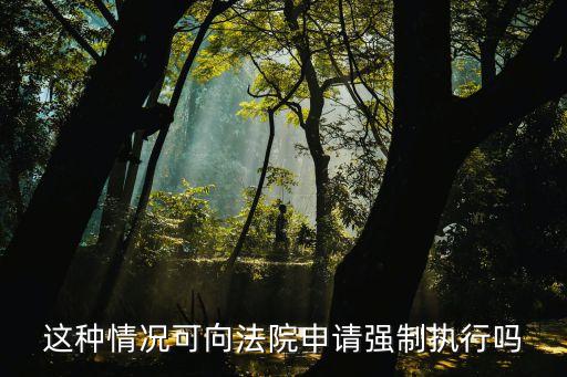 這種情況可向法院申請(qǐng)強(qiáng)制執(zhí)行嗎