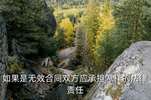 訂立無(wú)效合同的法律責(zé)任有哪些，如果是無(wú)效合同雙方應(yīng)承擔(dān)怎樣的法律責(zé)任