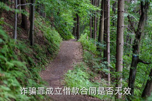 詐騙罪成立借款合同是否無效
