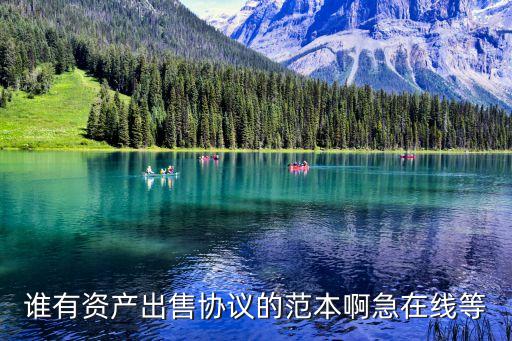 誰有資產(chǎn)出售協(xié)議的范本啊急在線等