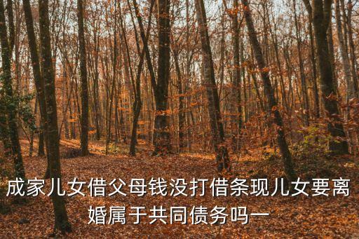 成家兒女借父母錢沒打借條現(xiàn)兒女要離婚屬于共同債務嗎一
