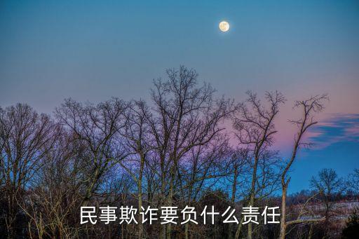 民事欺詐行為的法律后果是什么，民事欺詐要負(fù)什么責(zé)任