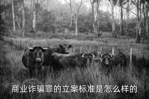 銷售欺詐罪的立案標(biāo)準(zhǔn)，商業(yè)詐騙罪的立案標(biāo)準(zhǔn)是怎么樣的