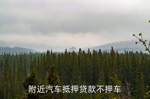 附近抵押車貸款，深圳坪山新區(qū)坑梓哪里可以做汽車抵押不押車貸款怎么辦理  搜