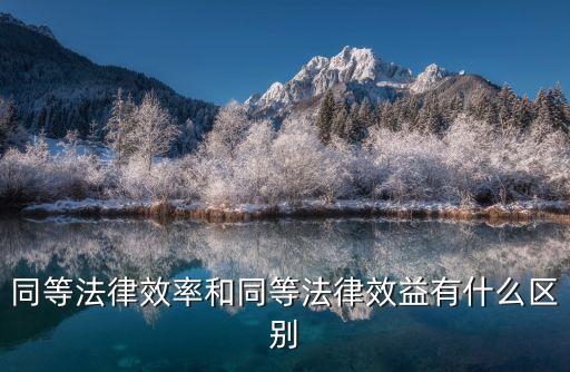 同等法律效率和同等法律效益有什么區(qū)別