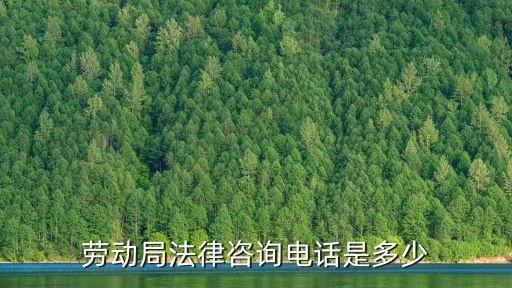 勞動(dòng)局法律咨詢電話是多少