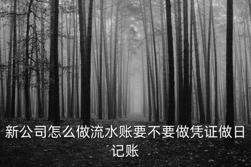 新公司怎么做流水賬要不要做憑證做日記賬