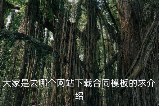 大家是去哪個(gè)網(wǎng)站下載合同模板的求介紹