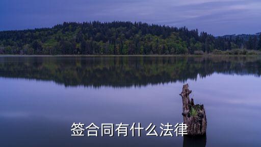 現(xiàn)在簽署合同用什么法律，簽合同遵守什么法律