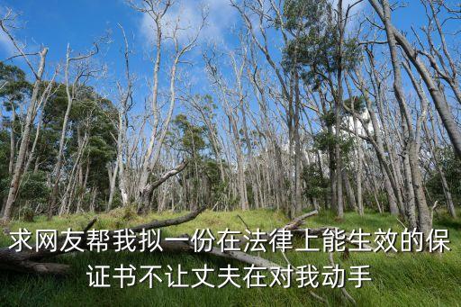 法律有效的保證書(shū)模板，想寫(xiě)一份受法律保護(hù)的保證書(shū)