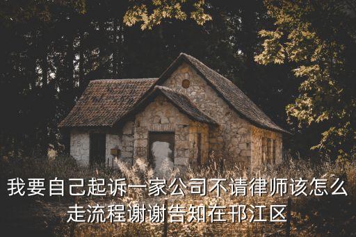 我要自己起訴一家公司不請(qǐng)律師該怎么走流程謝謝告知在邗江區(qū)