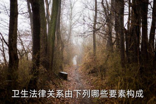 衛(wèi)生法律關(guān)系由下列哪些要素構(gòu)成