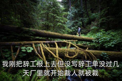 什么是任意解除權(quán)，我剛把辭工報(bào)上去但沒寫辭工單沒過幾天廠里就開始裁人就被裁