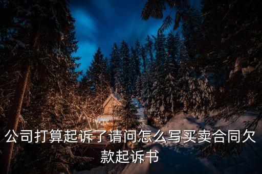 公司打算起訴了請(qǐng)問怎么寫買賣合同欠款起訴書
