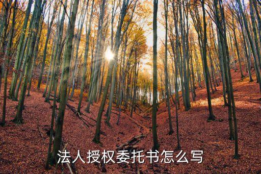 法人授權(quán)委托書怎么寫
