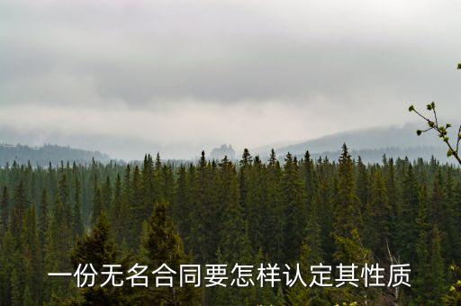 一份無名合同要怎樣認定其性質(zhì)