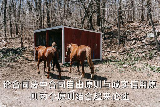 論合同法中合同自由原則與誠實信用原則兩個原則結(jié)合起來論述