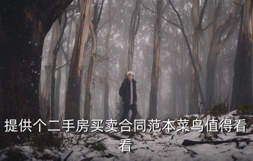 提供個二手房買賣合同范本菜鳥值得看看