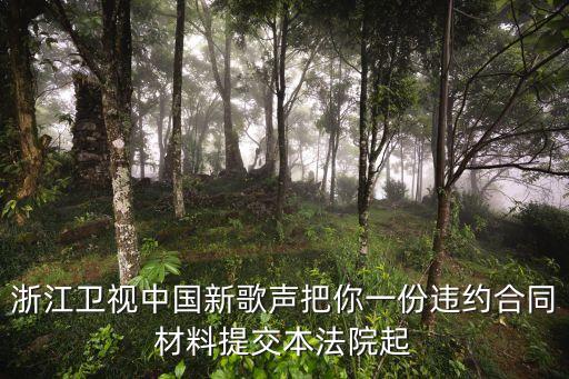 浙江衛(wèi)視中國(guó)新歌聲把你一份違約合同材料提交本法院起