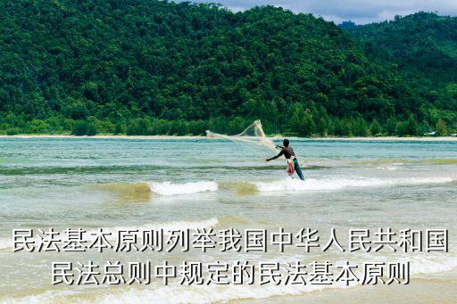 民法基本原則列舉我國中華人民共和國民法總則中規(guī)定的民法基本原則