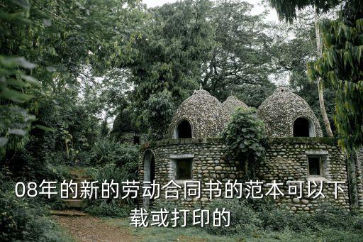 黑龍江勞動合同書電子版，哈爾濱市勞動和社會保障局監(jiān)制的勞動合同書樣本在哪能找到