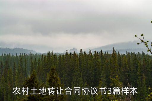 農(nóng)村土地轉(zhuǎn)讓合同協(xié)議書3篇樣本