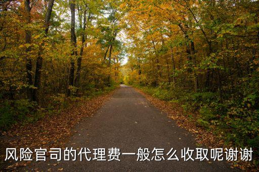 風(fēng)險(xiǎn)官司的代理費(fèi)一般怎么收取呢謝謝