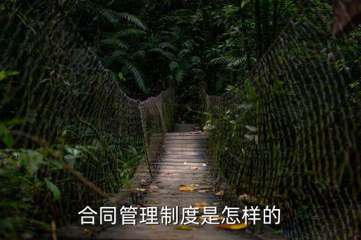 合同管理制度是怎樣的