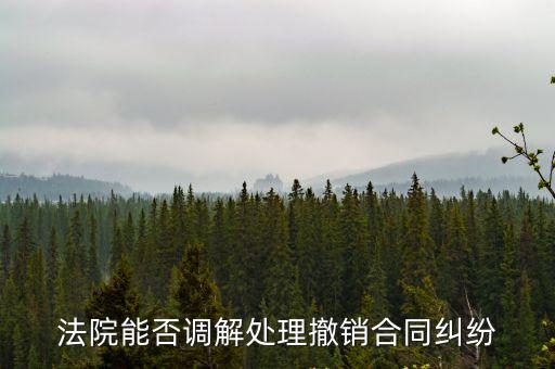 解決合同糾紛可以撤銷嗎，法院能否調(diào)解處理撤銷合同糾紛