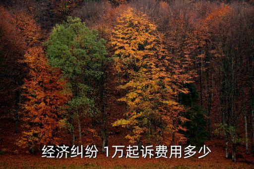 經(jīng)濟糾紛案怎么收費，經(jīng)濟糾紛起訴法院費用怎么收