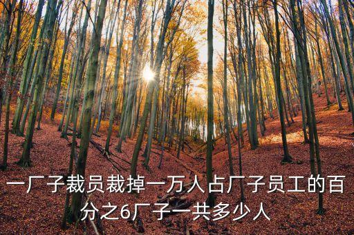 一廠子裁員裁掉一萬人占廠子員工的百分之6廠子一共多少人