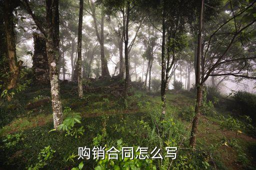 購銷合同怎么寫
