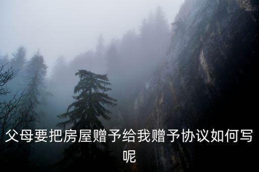 財(cái)產(chǎn)贈(zèng)與子女協(xié)議書(shū)怎么寫(xiě)模板，贈(zèng)與協(xié)議怎么寫(xiě)