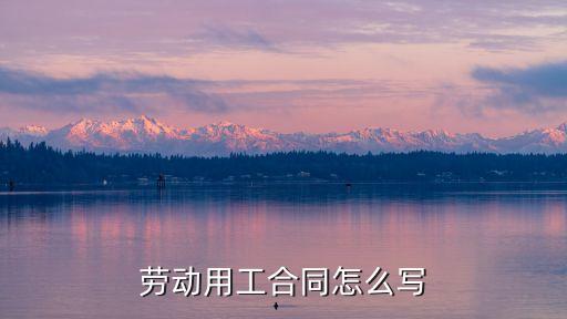 簡易勞動合同模板怎么填，簡單的合同書怎么寫