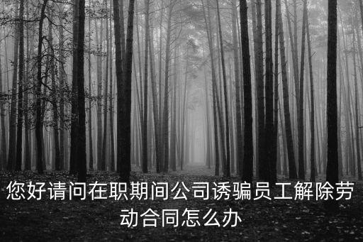 您好請問在職期間公司誘騙員工解除勞動合同怎么辦