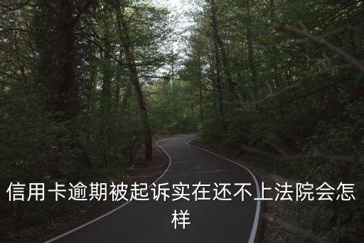 信用卡逾期被起訴實(shí)在還不上法院會(huì)怎樣