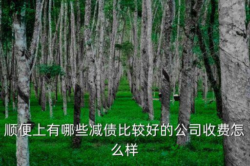 債務減免公司，順便上有哪些減債比較好的公司收費怎么樣
