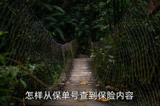 根據(jù)保單號怎么查到保險合同，怎么能查到我的保險合同