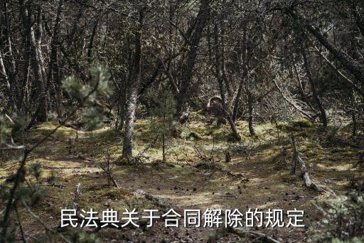 民法典關(guān)于合同解除的規(guī)定
