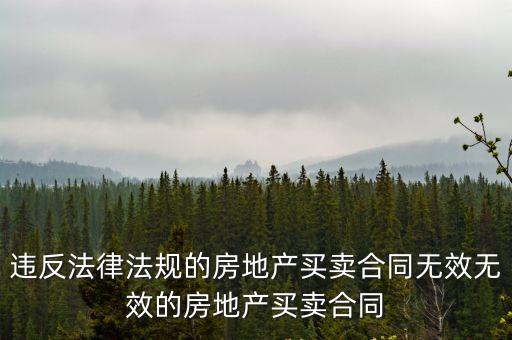 違反法律法規(guī)的房地產(chǎn)買賣合同無效無效的房地產(chǎn)買賣合同