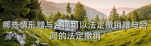 合同法192條，合同法192條第一款第二項(xiàng)的規(guī)定