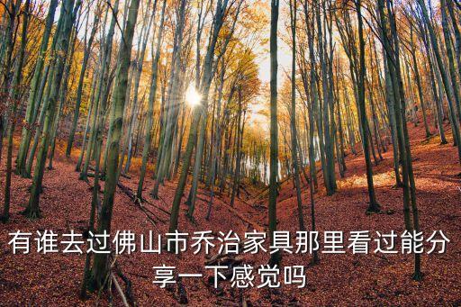 外地人到佛山買家具值得嗎，有誰(shuí)去過(guò)佛山市喬治家具那里看過(guò)能分享一下感覺(jué)嗎