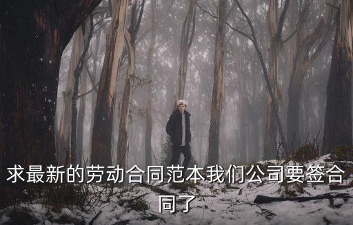 勞動(dòng)合同簡單版本，求份勞動(dòng)合同書簡短一點(diǎn)的急用
